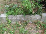 image of grave number 365500